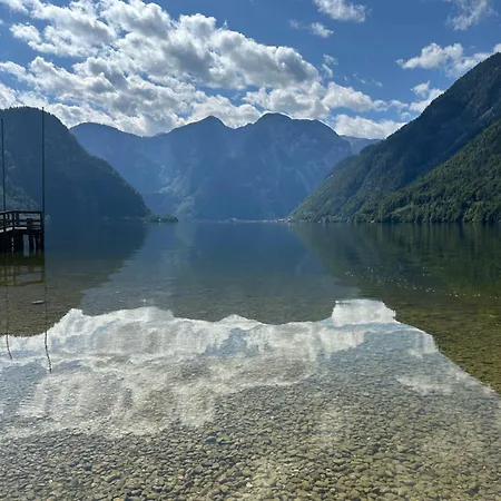 Steinbock * Bad Goisern