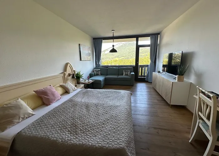 Steinbock Apartament *