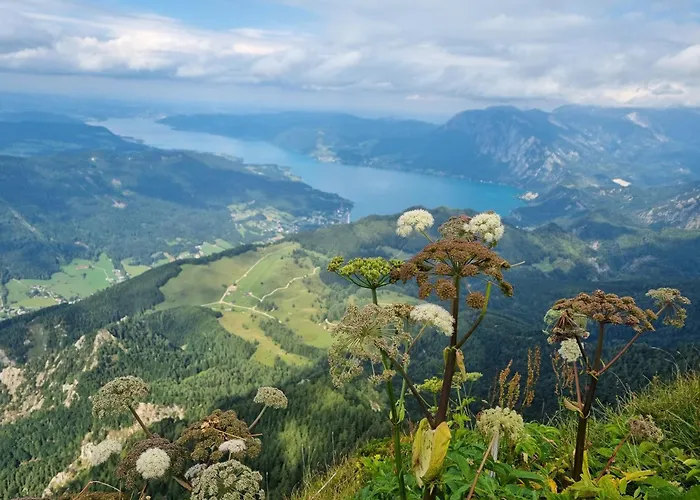 Steinbock Apartament *