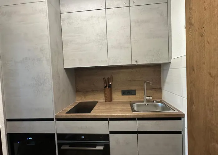 Steinbock Apartament