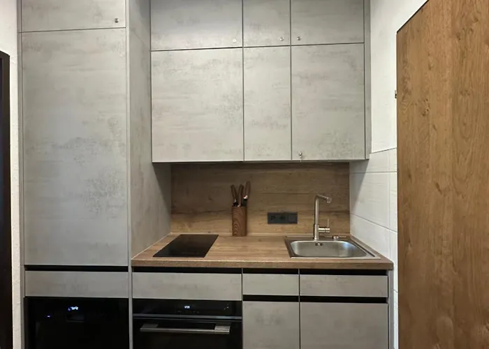 Steinbock Apartament Bad Goisern