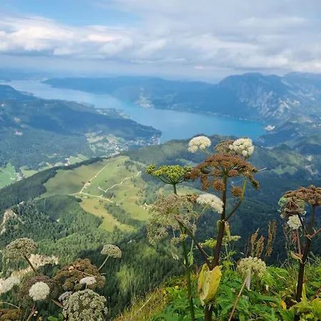 Steinbock Διαμέρισμα *