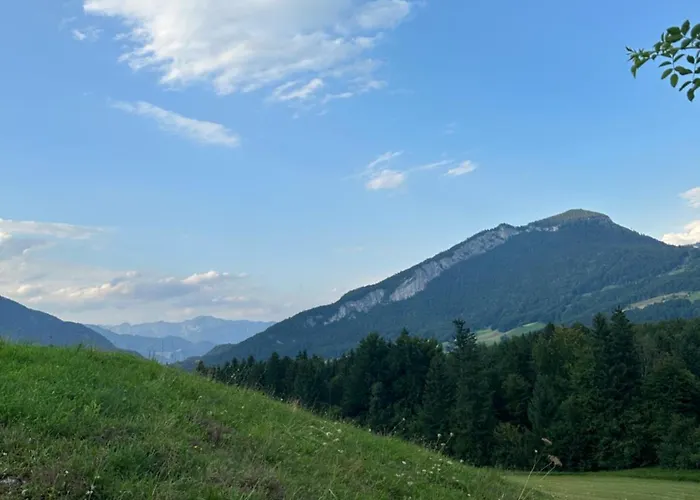 Steinbock 公寓 巴德哥依斯恩