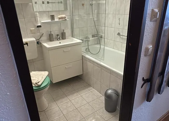 Steinbock * 巴德哥依斯恩